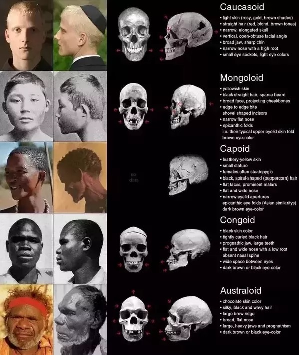 Type of homosapiens 