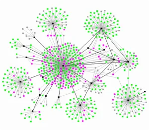 Network of Linking Sites