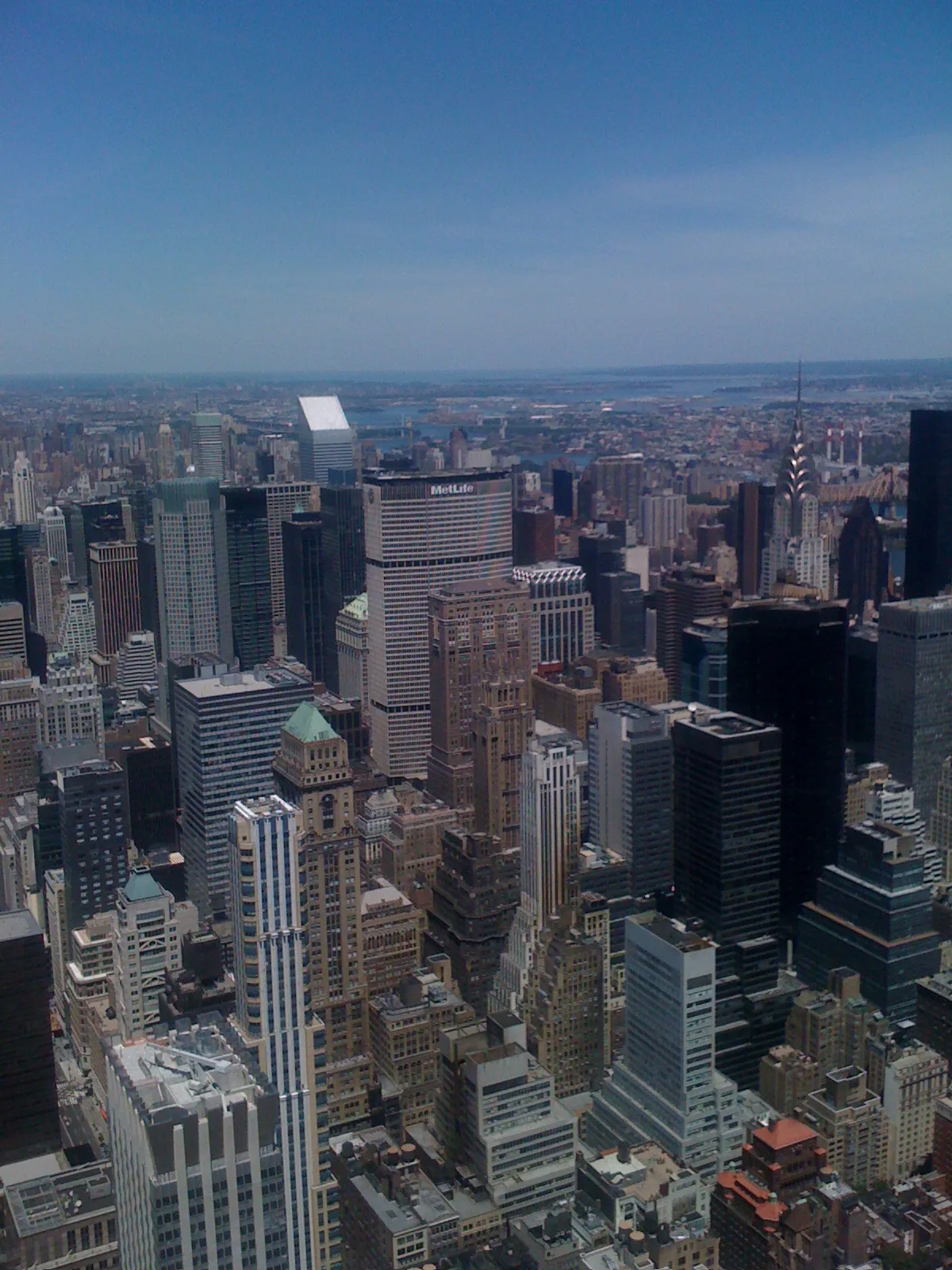 New York SEO